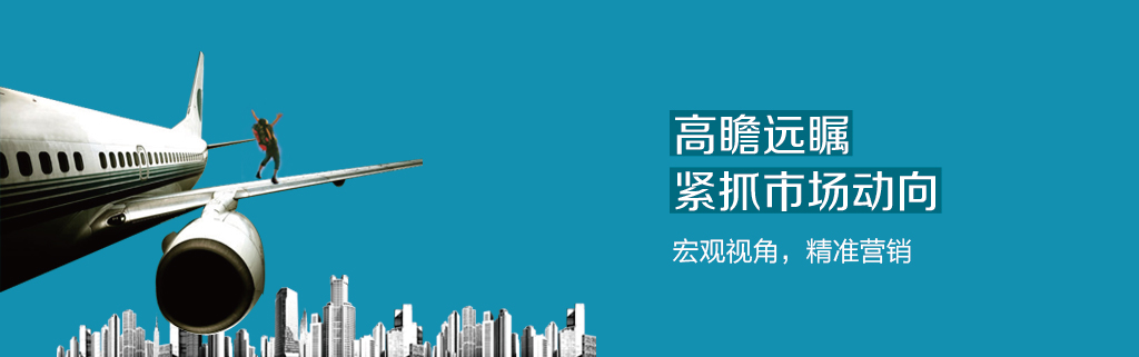 宏观视角，精准品牌营销