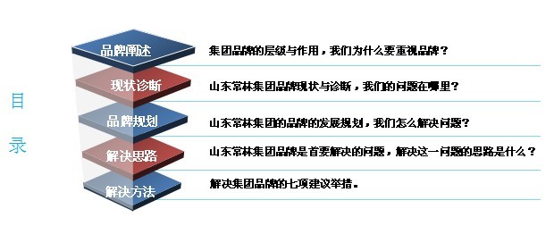 常林品牌策划案
