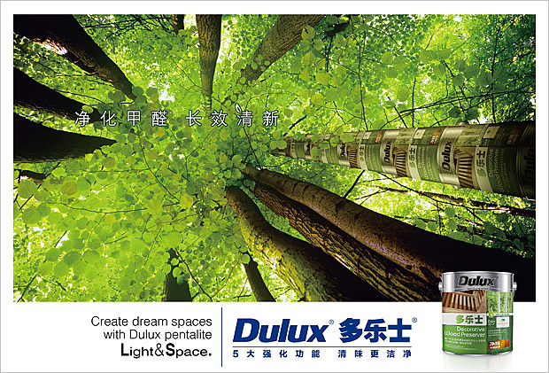 多乐士油漆包装设计－净化甲醛，长效清新